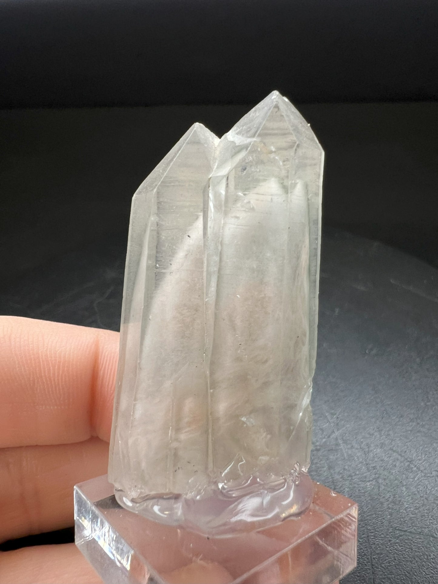 Phantom Twin Chlorite Quartz- collectors piece