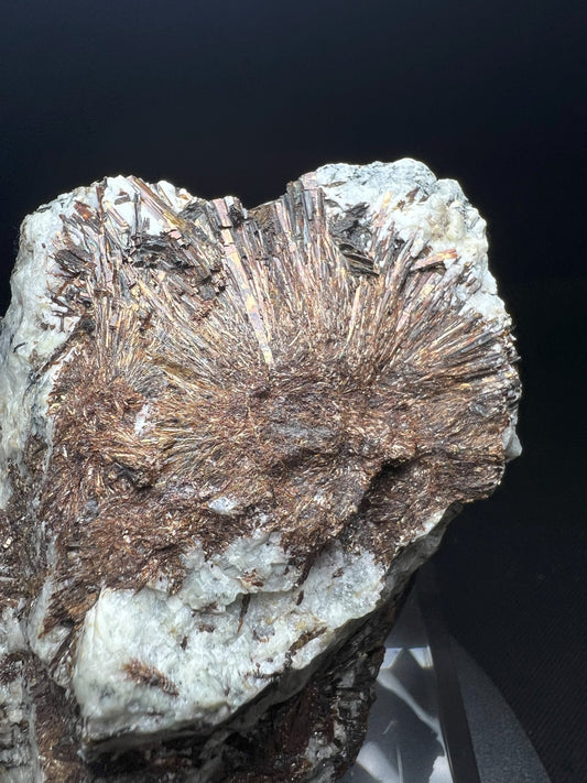 Astrophyllite On A Stand From Kola Russia