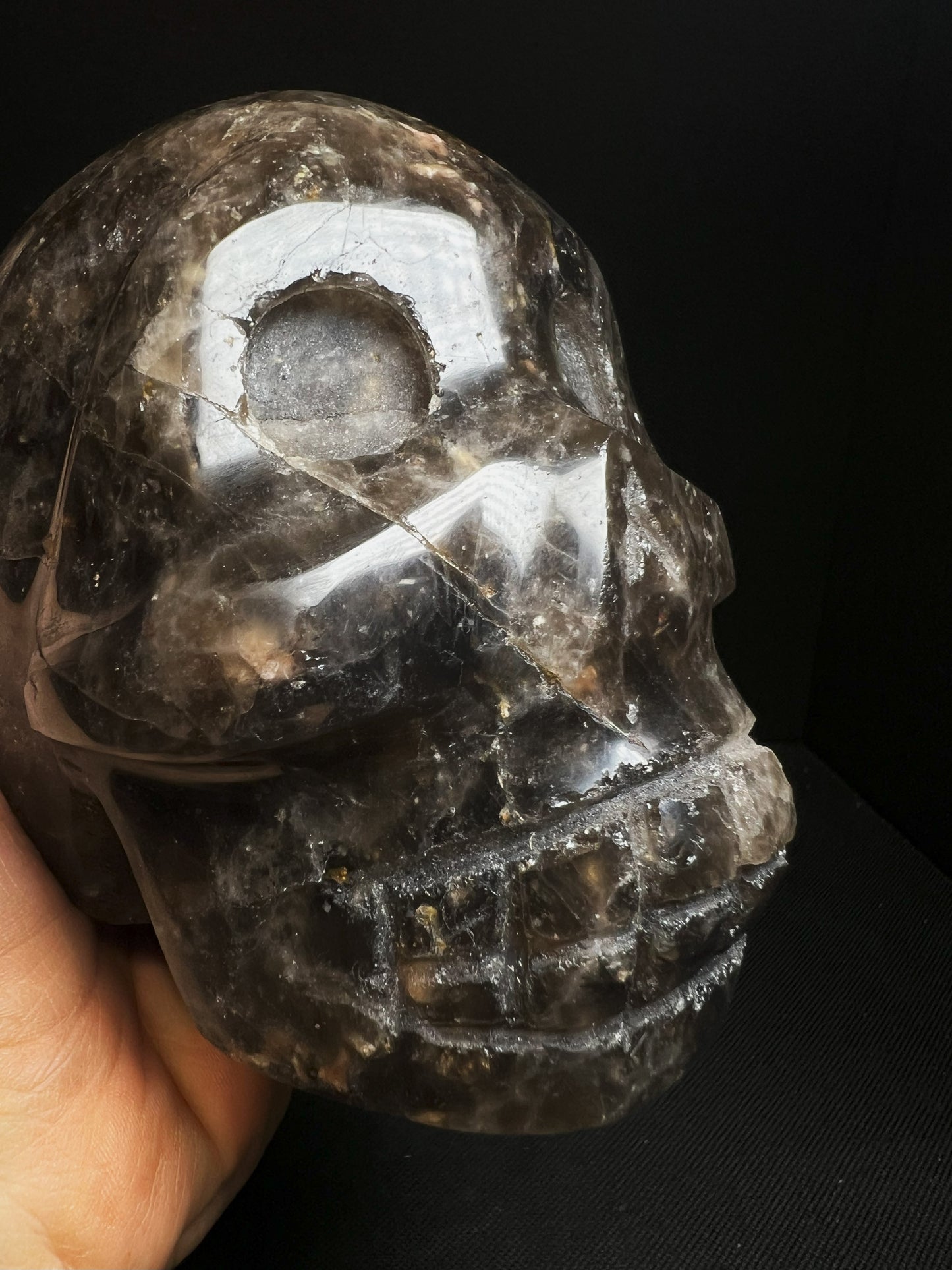 Morion/ Smoky Quartz Skull Collectors Piece Home Décor Statement Piece