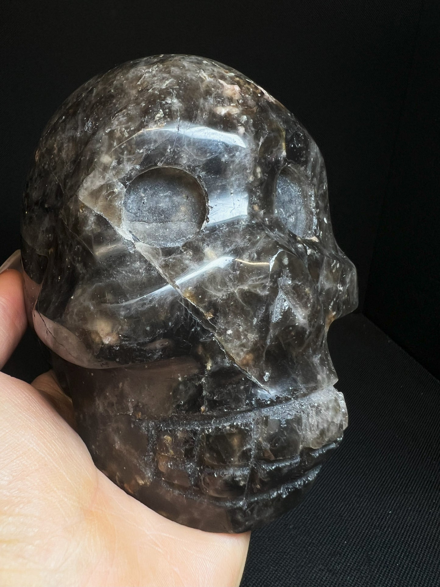 Morion/ Smoky Quartz Skull Collectors Piece Home Décor Statement Piece