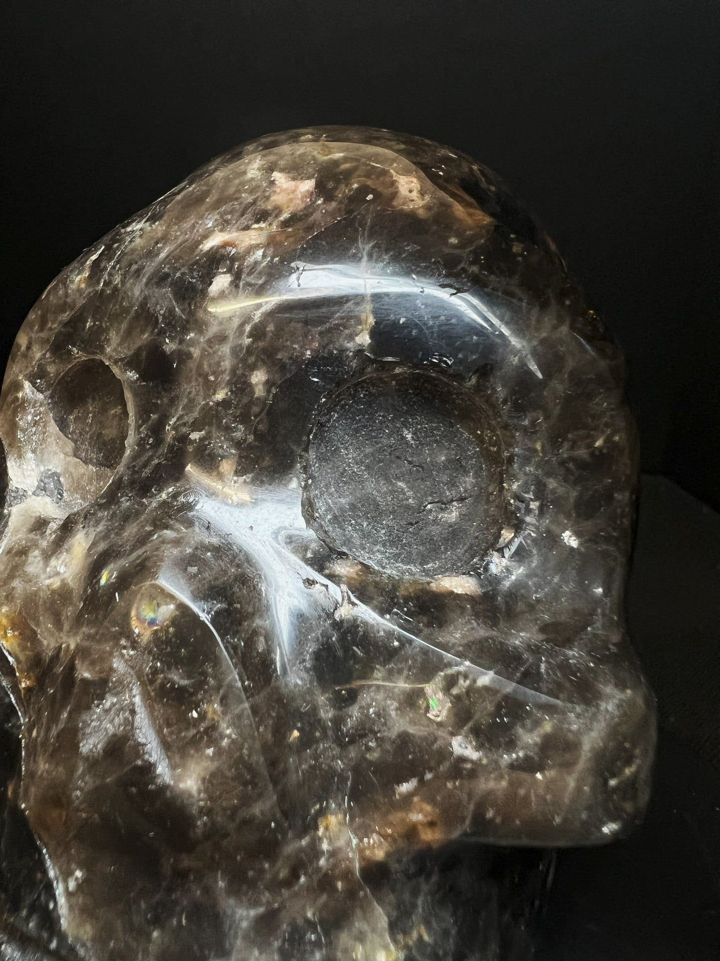 Morion/ Smoky Quartz Skull Collectors Piece Home Décor Statement Piece