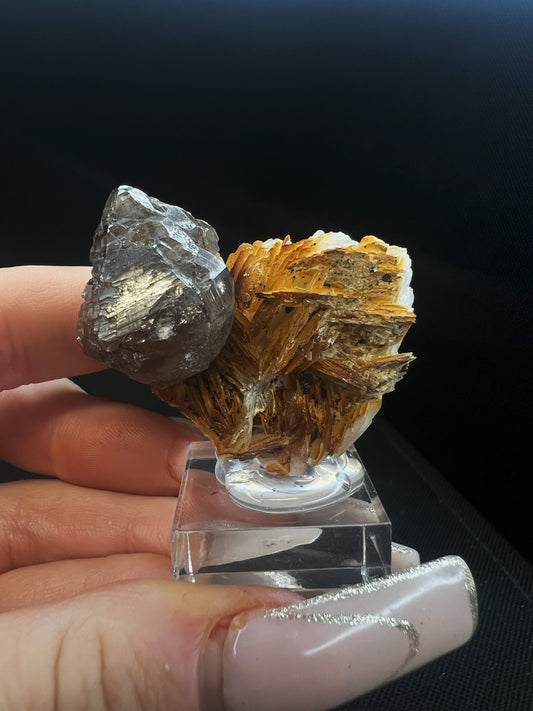 Cerussite And Barite On Galena From Morocco