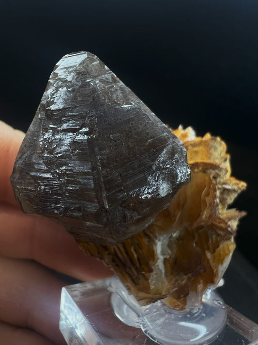 Cerussite And Barite On Galena From Morocco