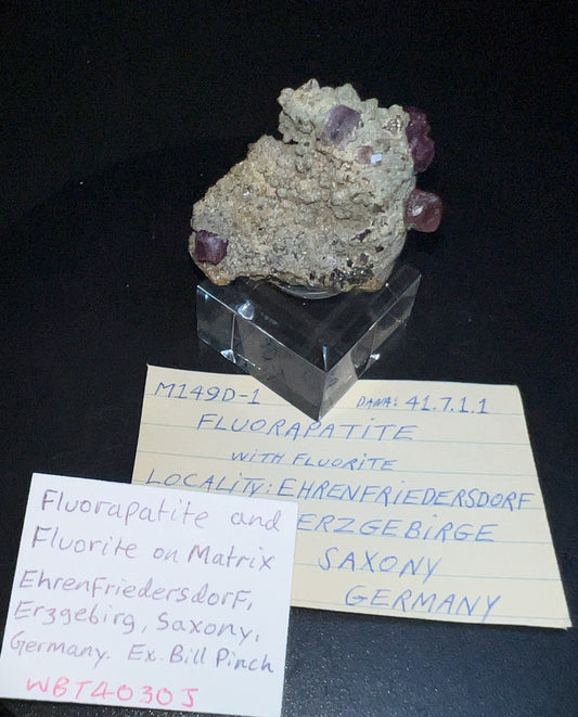 Rare Museum Quality Fluorapatite And Fluorite On Matrix From Saxony, Germany- Home Décor, Collectors Piece