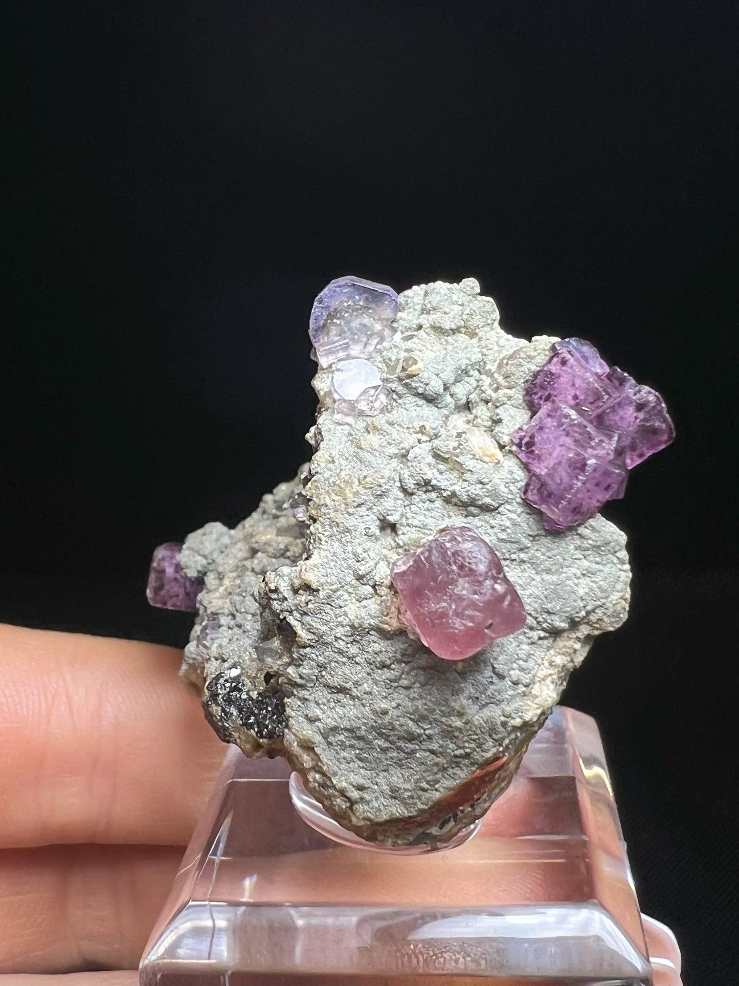 Rare Museum Quality Fluorapatite And Fluorite On Matrix From Saxony, Germany- Home Décor, Collectors Piece