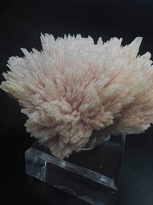 Needle Like Cobalt Calcite From Morocco (Stand Included) Collectors Piece