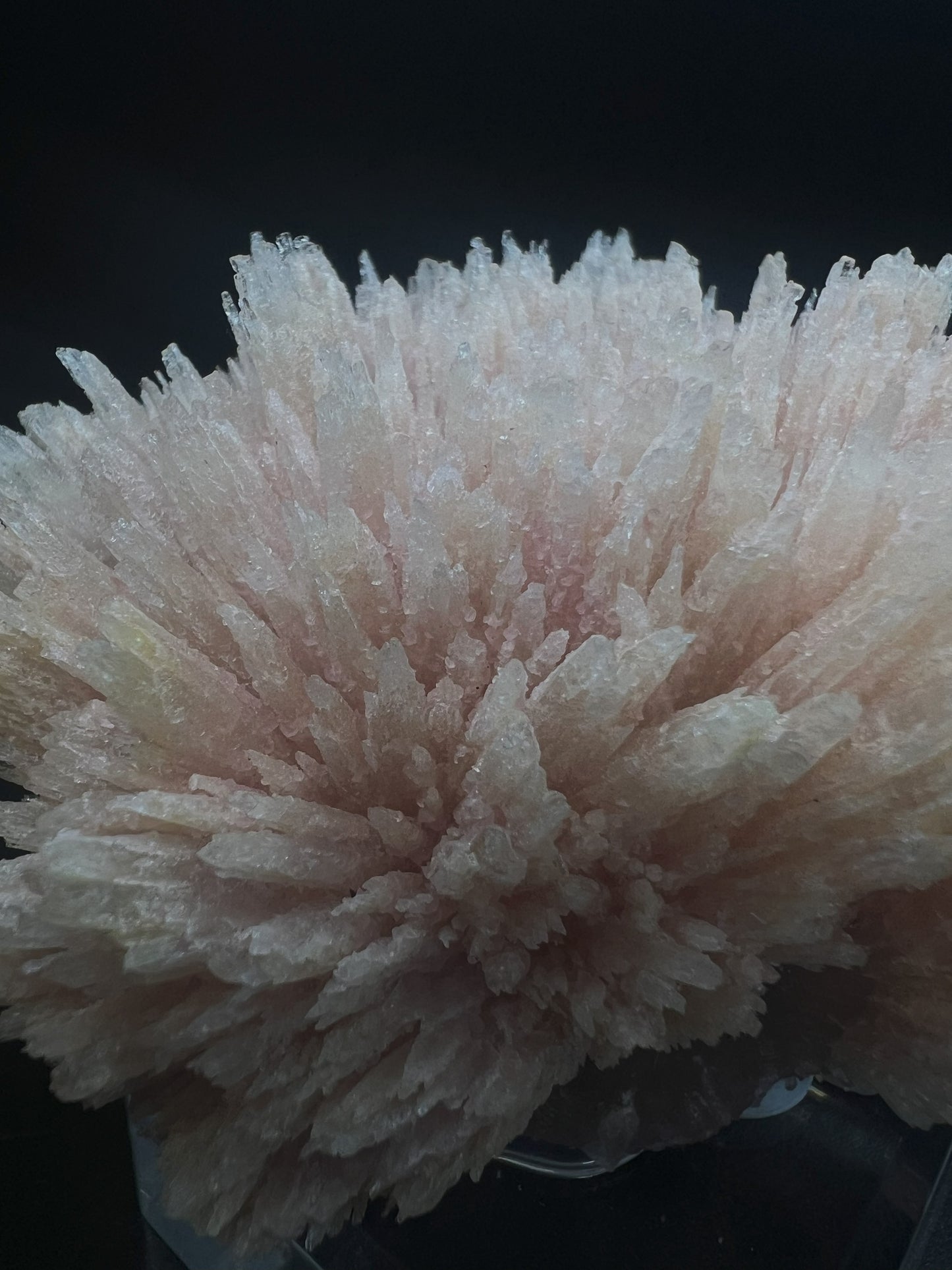 Needle Like Cobalt Calcite From Morocco (Stand Included) Collectors Piece