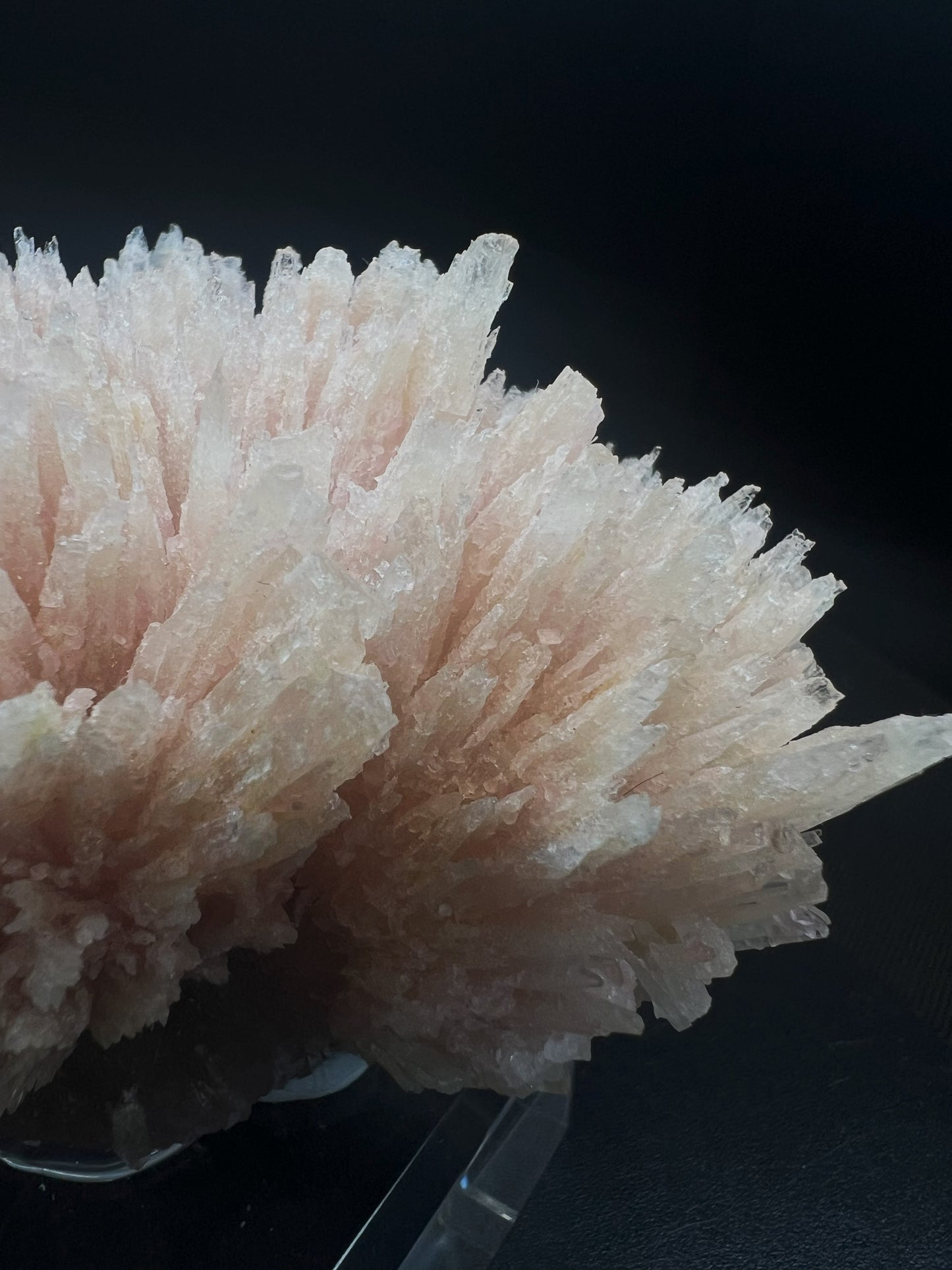Needle Like Cobalt Calcite From Morocco (Stand Included) Collectors Piece