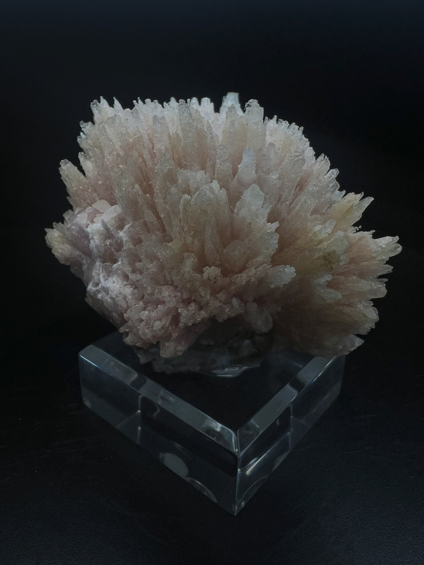 Needle Like Cobalt Calcite From Morocco (Stand Included) Collectors Piece