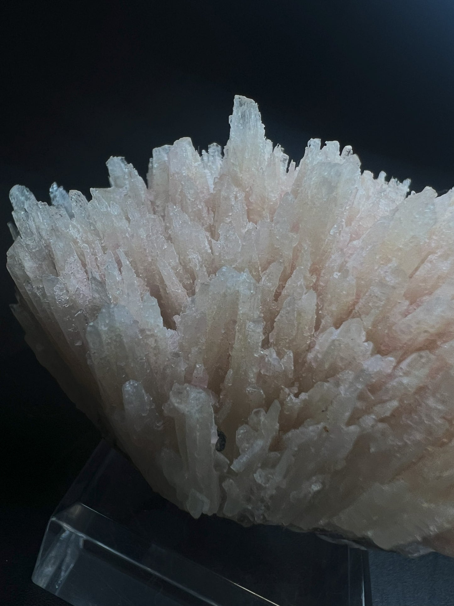 Needle Like Cobalt Calcite From Morocco (Stand Included) Collectors Piece