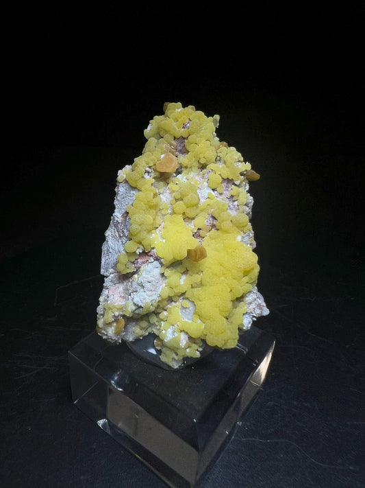 Wulfenite And Mimetite From La Morita Mine , Mexico (Stand Included) Collectors Piece
