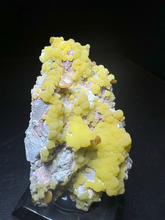 Wulfenite And Mimetite From La Morita Mine , Mexico (Stand Included) Collectors Piece