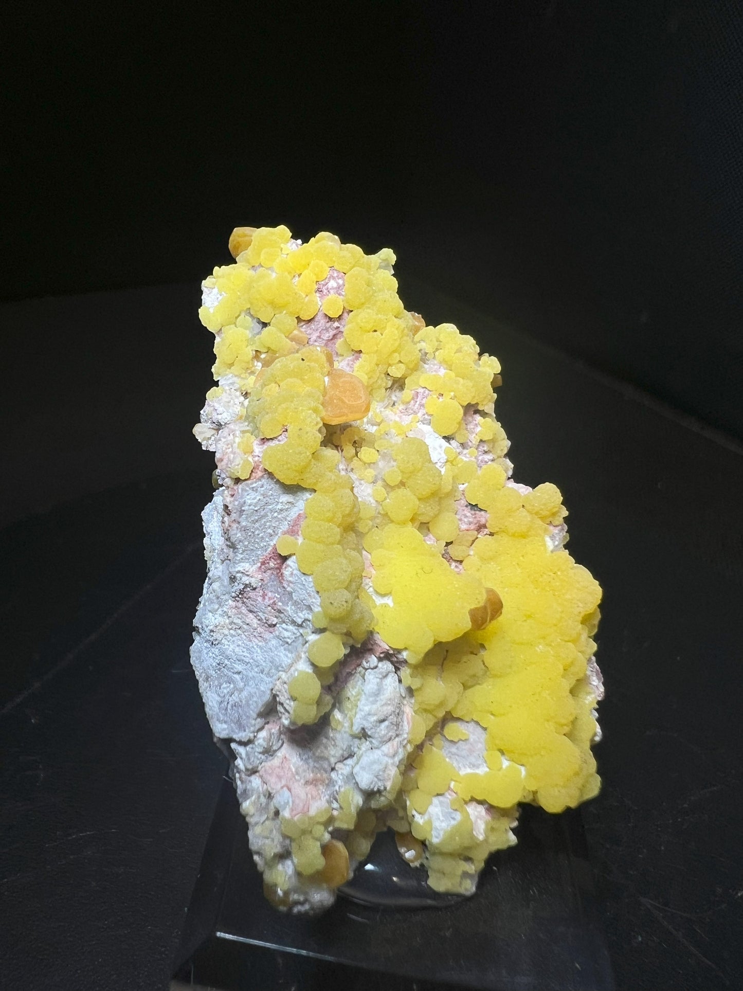 Wulfenite And Mimetite From La Morita Mine , Mexico (Stand Included) Collectors Piece