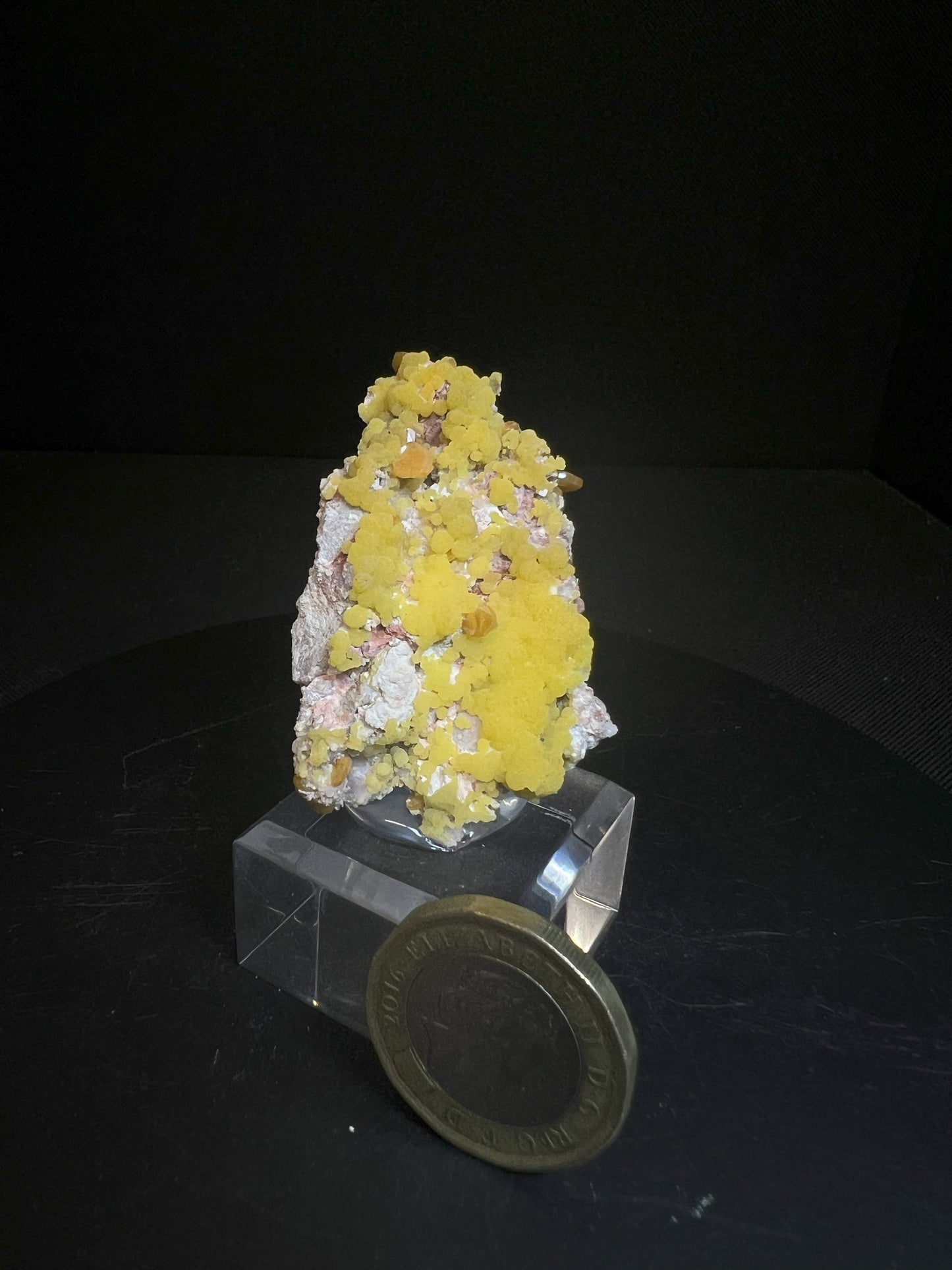 Wulfenite And Mimetite From La Morita Mine , Mexico (Stand Included) Collectors Piece