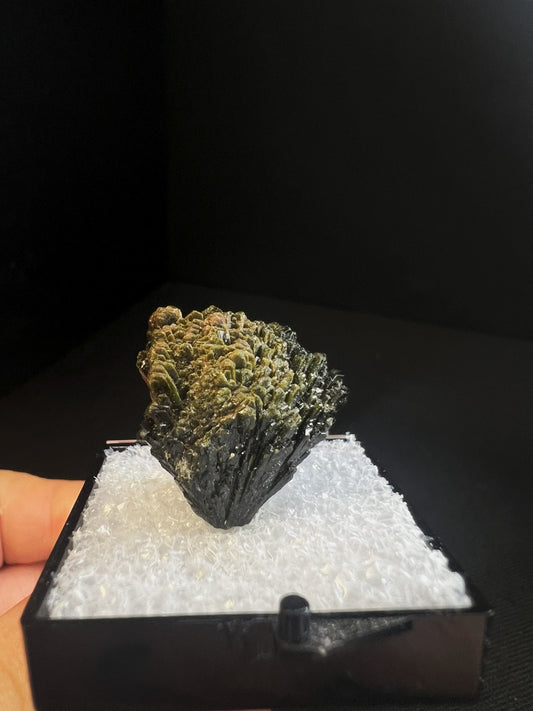 Spray Of Epidote Cluster From Pakistan- Collectors Piece (Box Included)