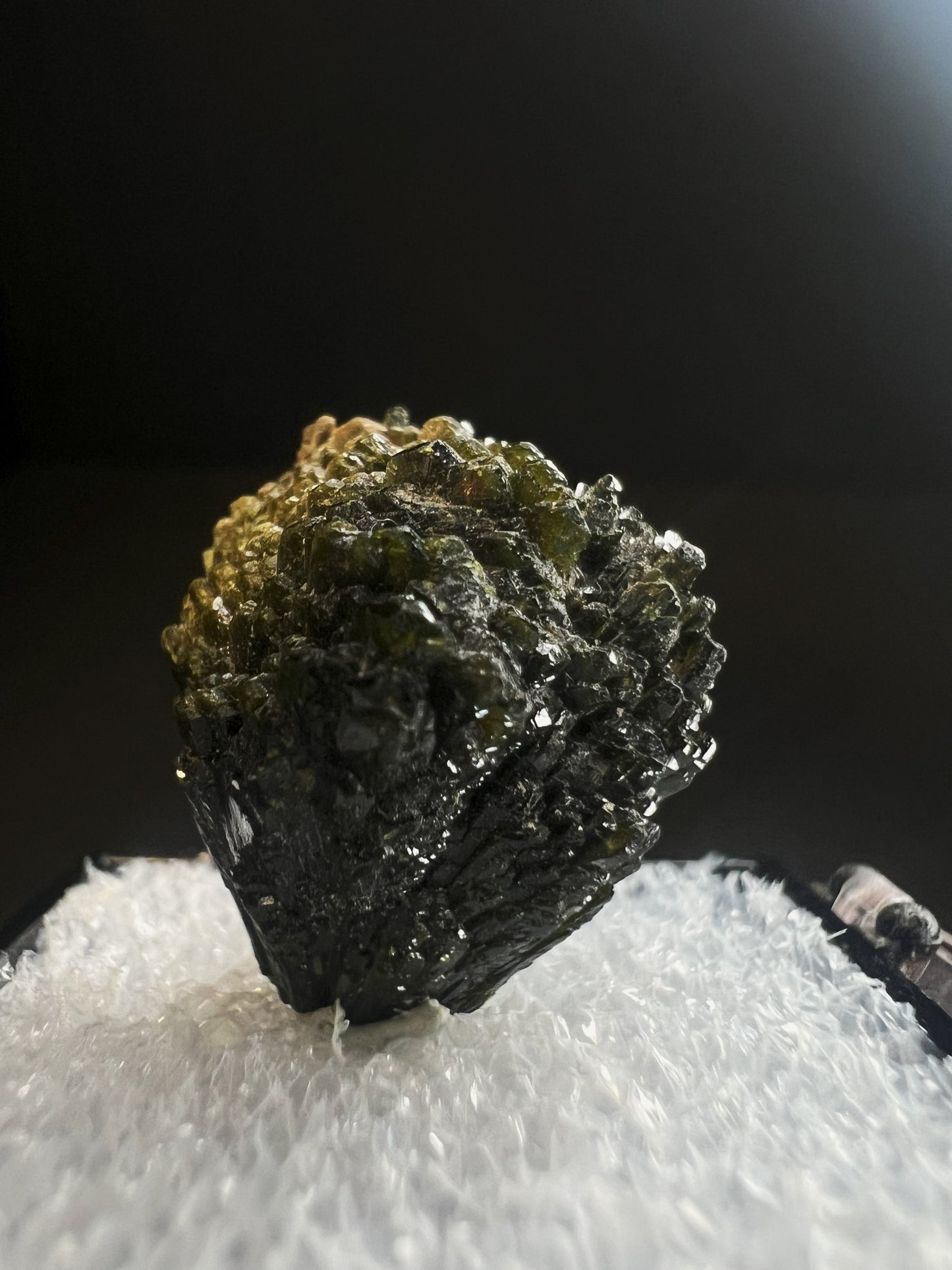 Spray Of Epidote Cluster From Pakistan- Collectors Piece (Box Included)