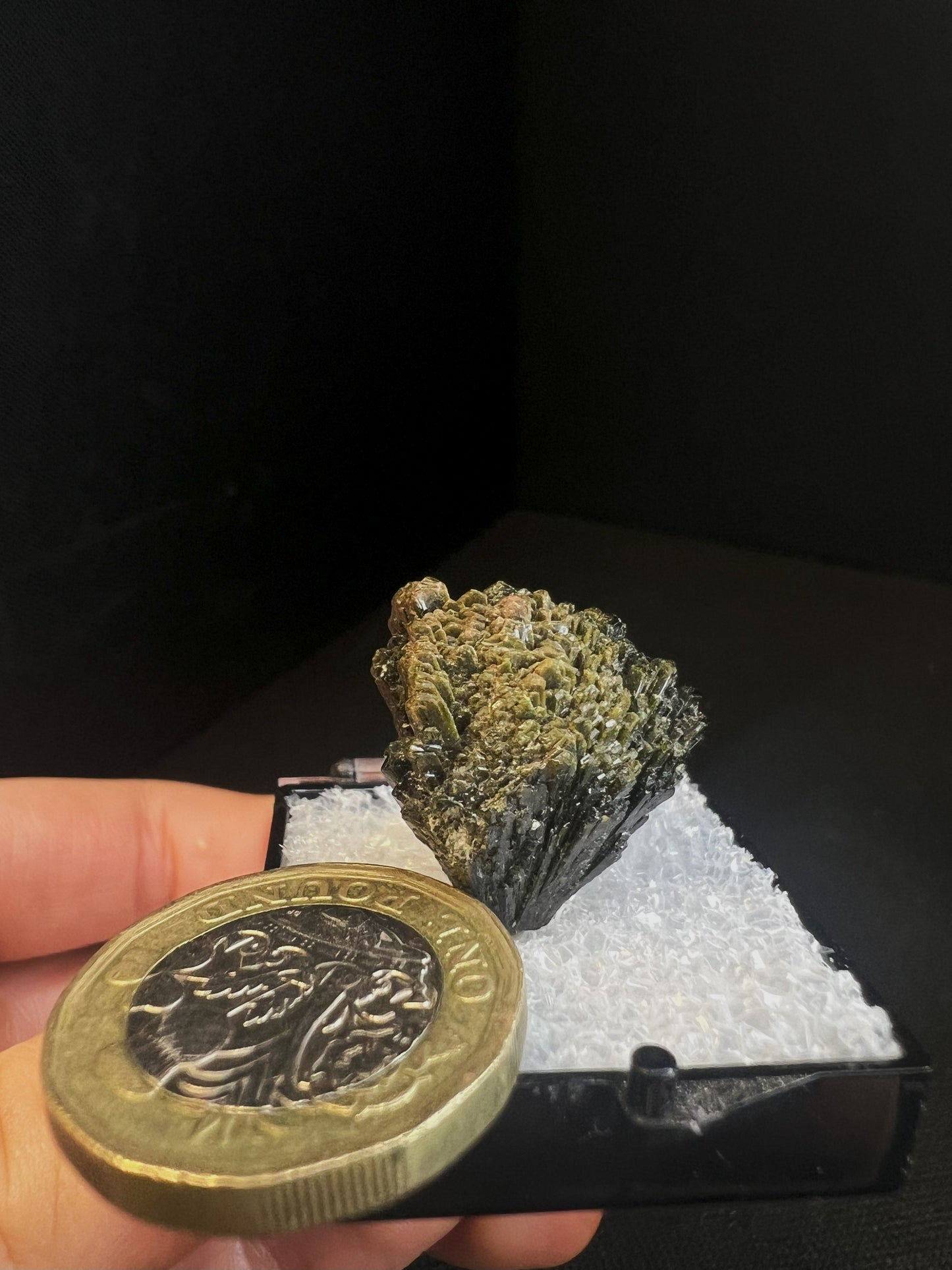 Spray Of Epidote Cluster From Pakistan- Collectors Piece (Box Included)
