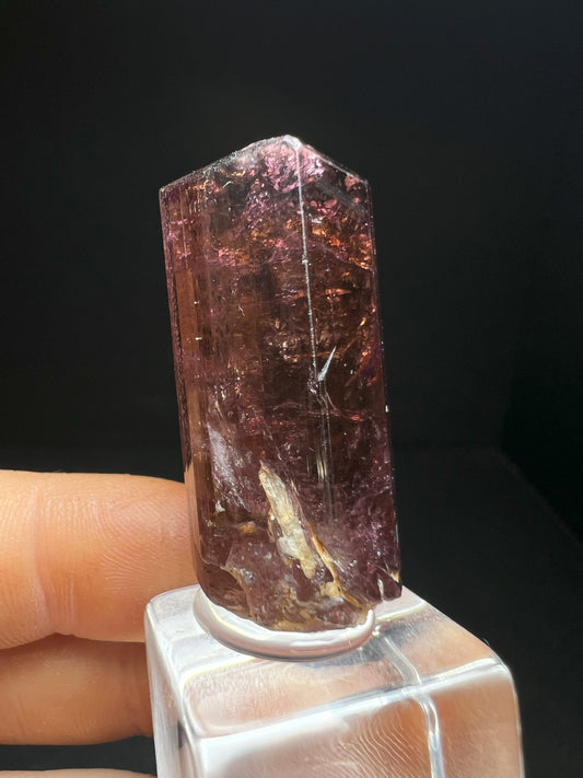 Stunning Rare Liddicoatite Tourmaline- Collectors Piece, Home Décor