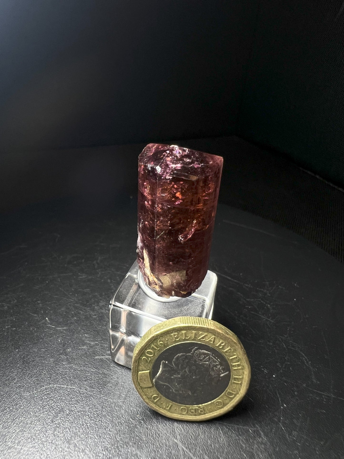 Stunning Rare Liddicoatite Tourmaline- Collectors Piece, Home Décor
