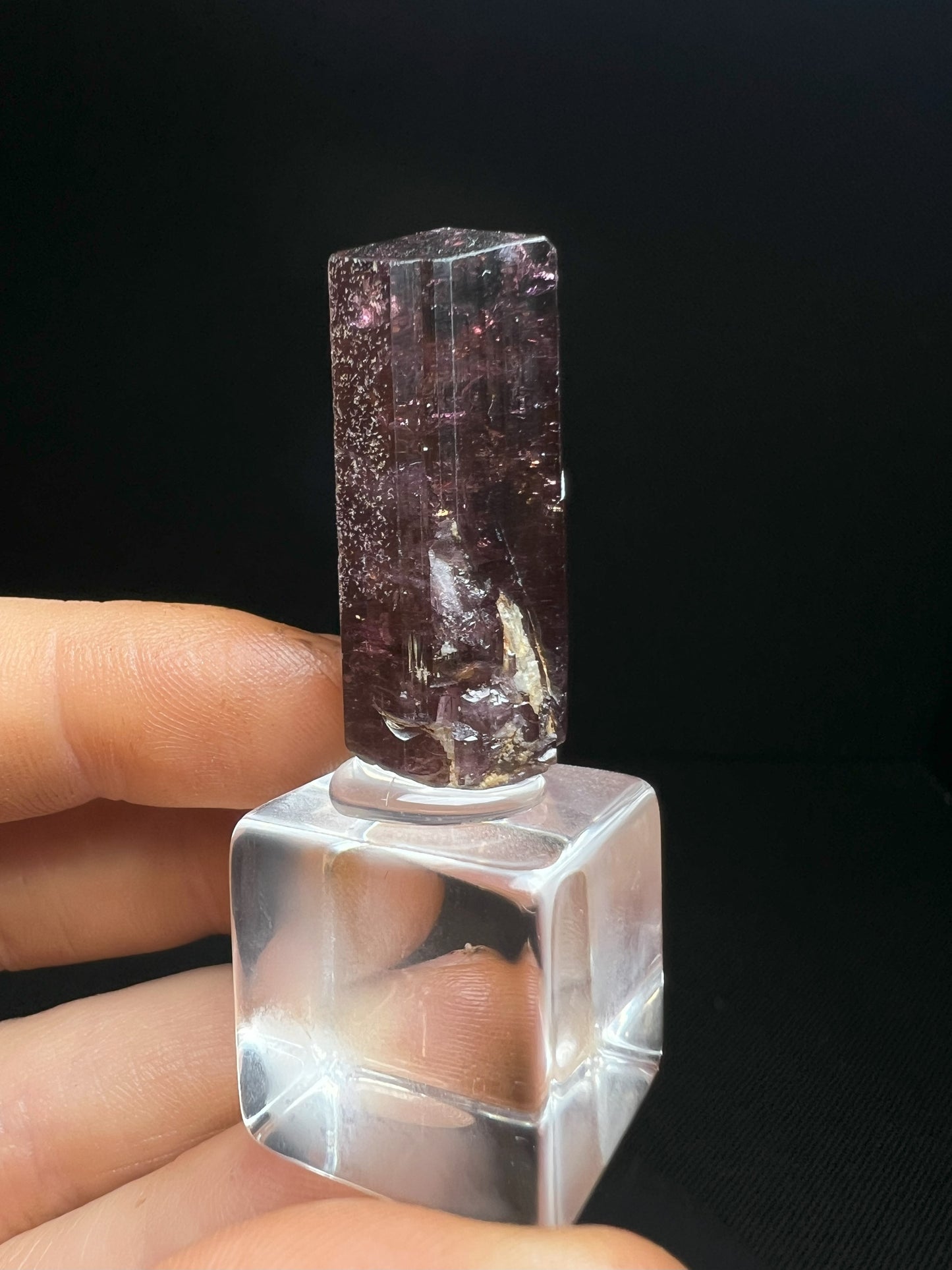 Stunning Rare Liddicoatite Tourmaline- Collectors Piece, Home Décor