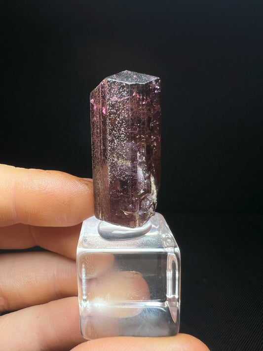 Stunning Rare Liddicoatite Tourmaline- Collectors Piece, Home Décor