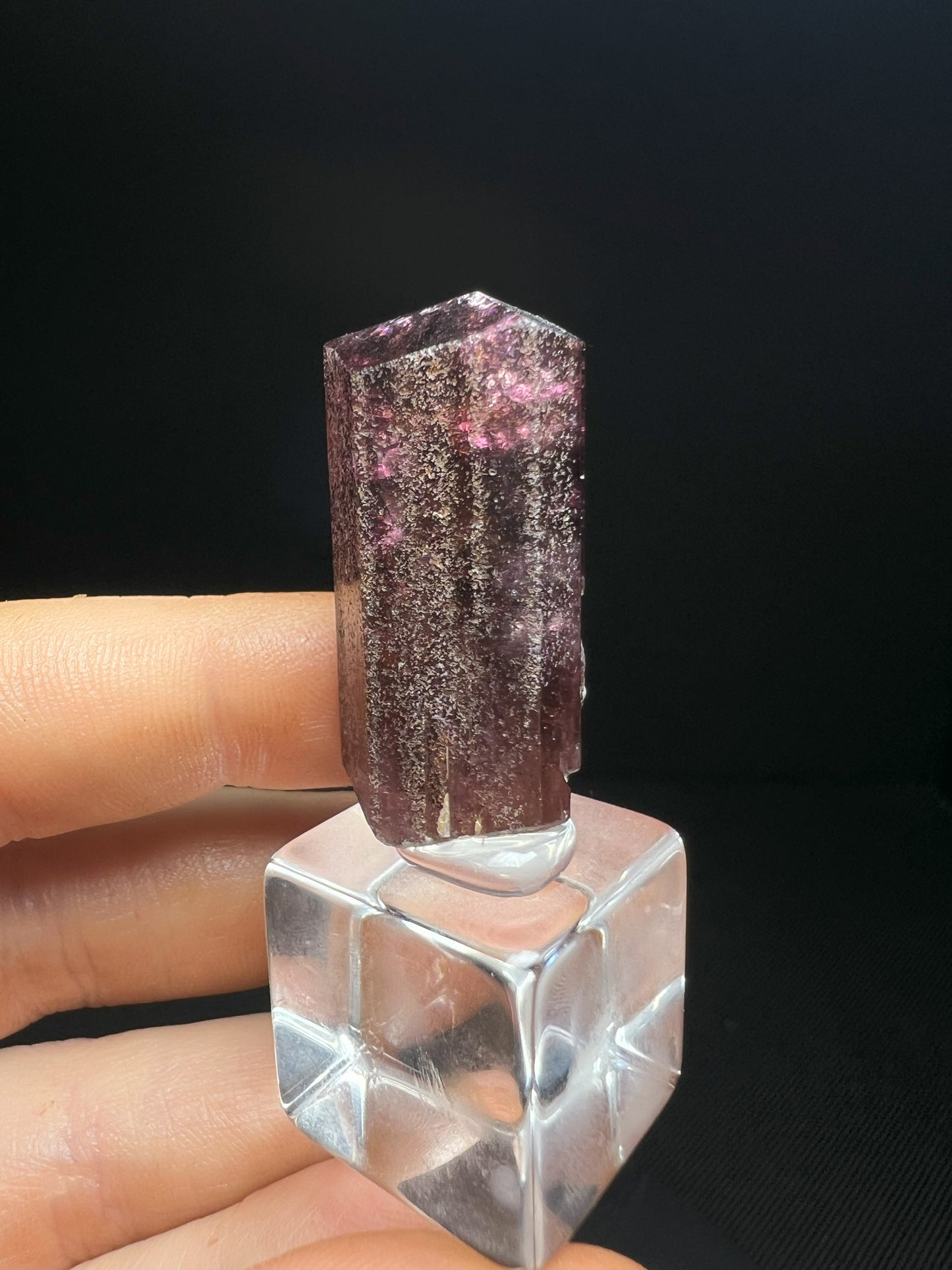 Stunning Rare Liddicoatite Tourmaline- Collectors Piece, Home Décor