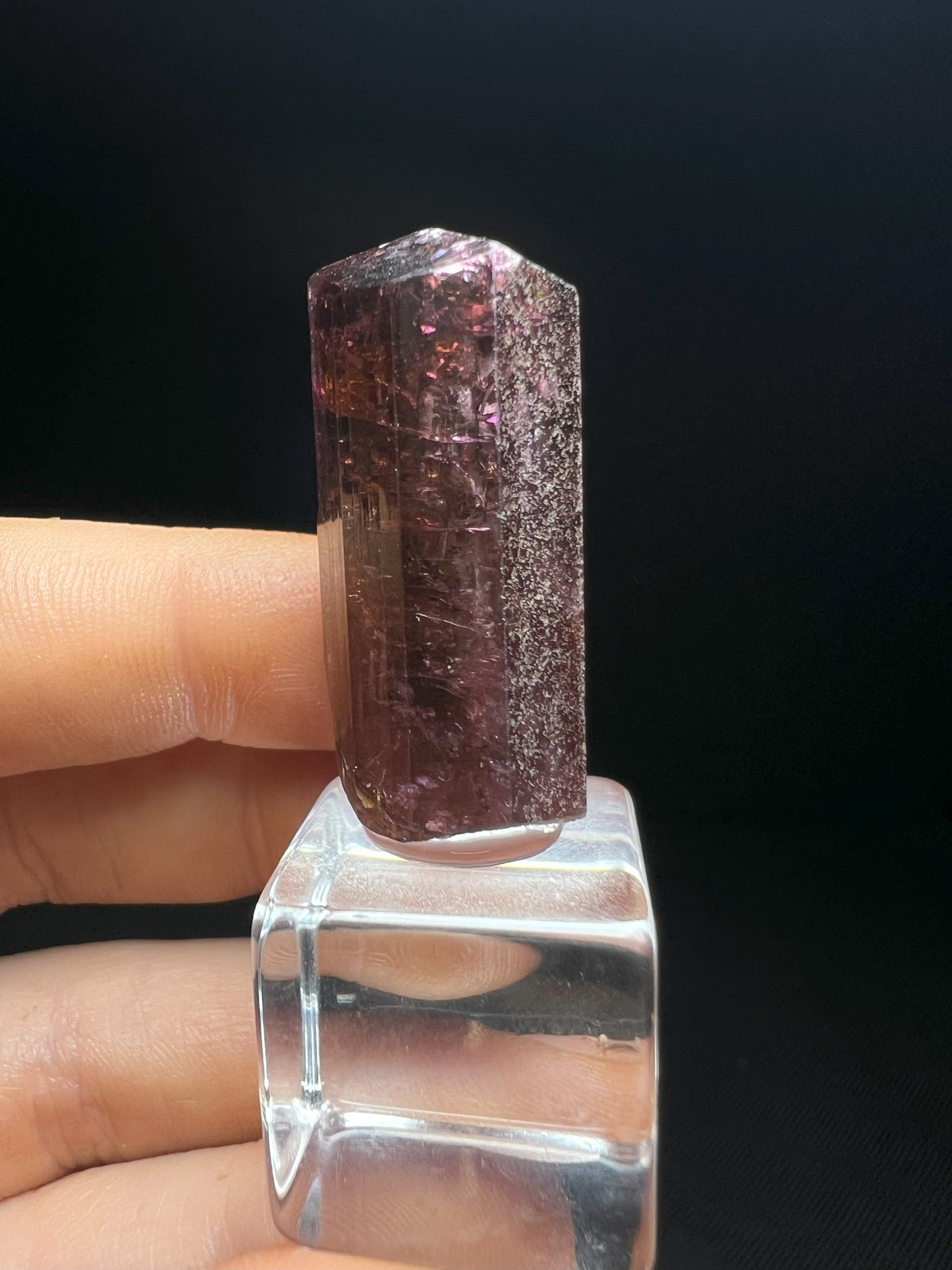 Stunning Rare Liddicoatite Tourmaline- Collectors Piece, Home Décor