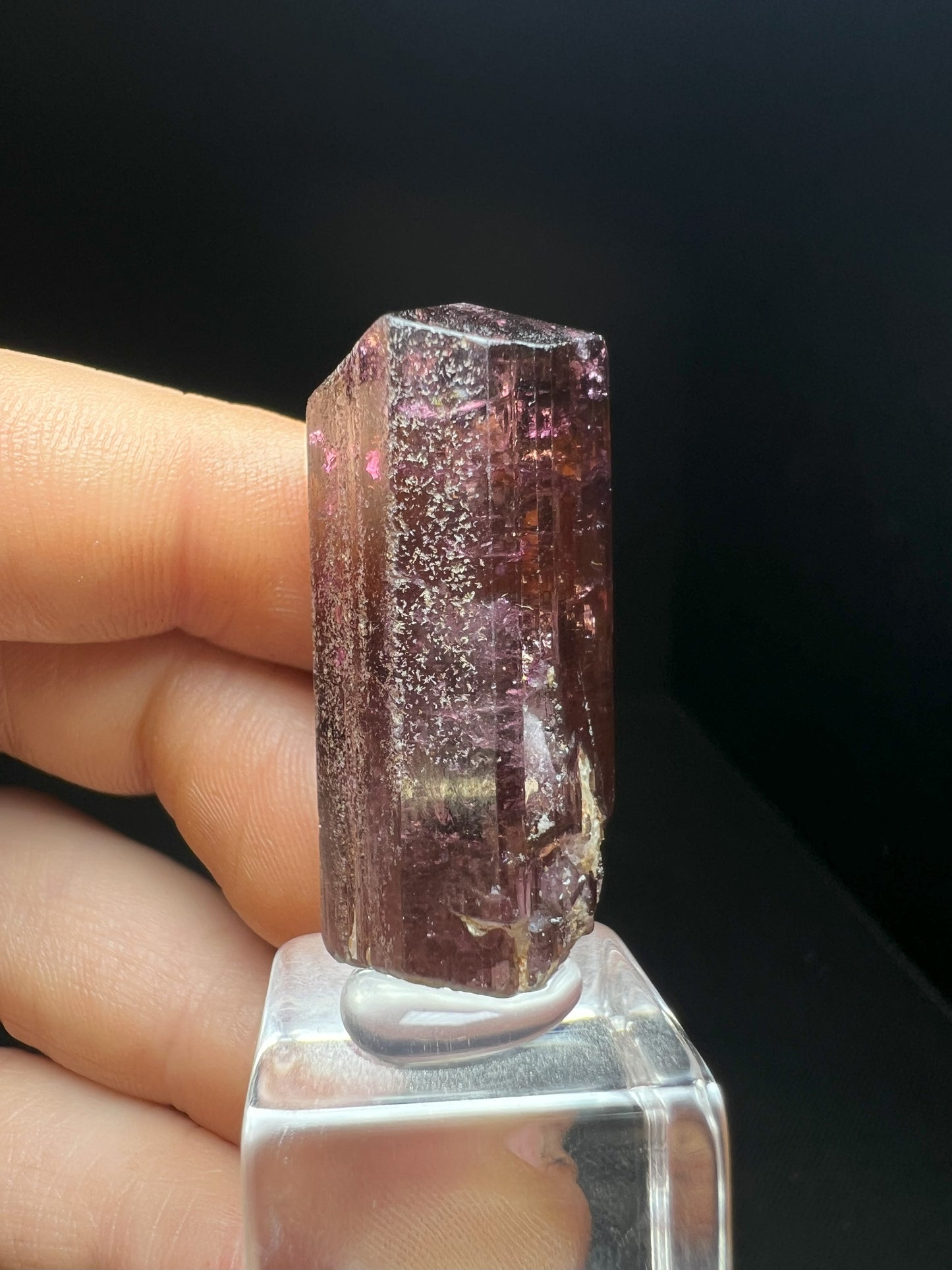 Stunning Rare Liddicoatite Tourmaline- Collectors Piece, Home Décor