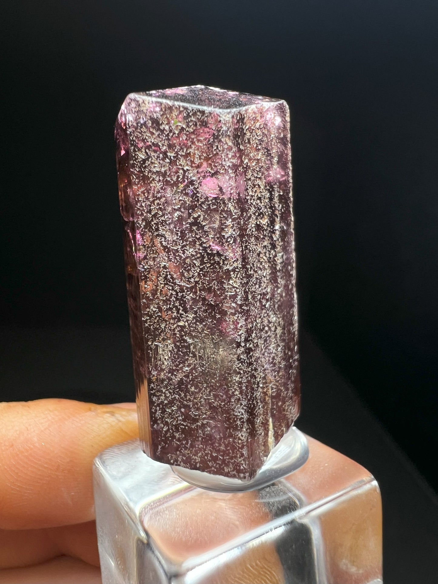 Stunning Rare Liddicoatite Tourmaline- Collectors Piece, Home Décor