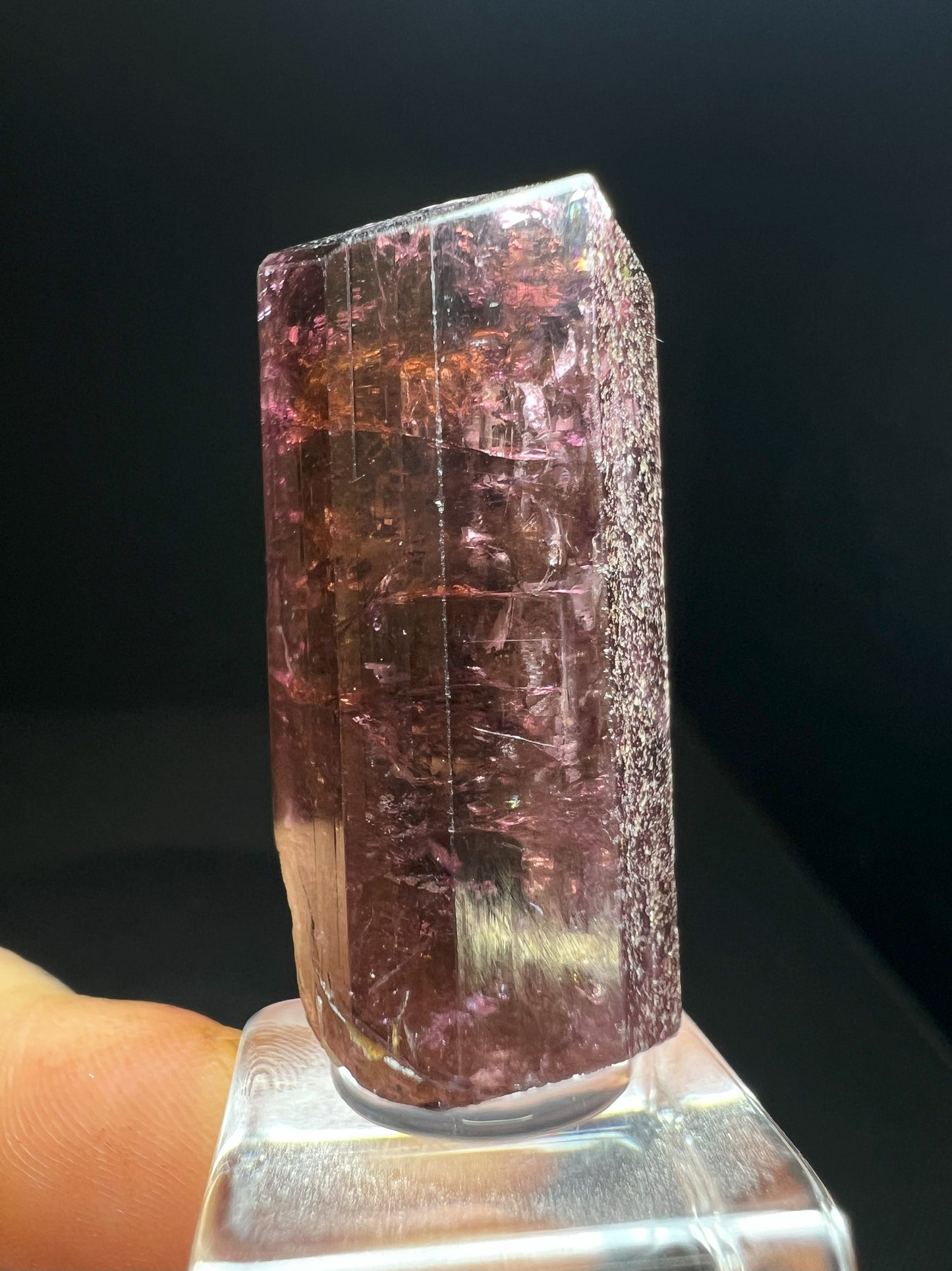 Stunning Rare Liddicoatite Tourmaline- Collectors Piece, Home Décor