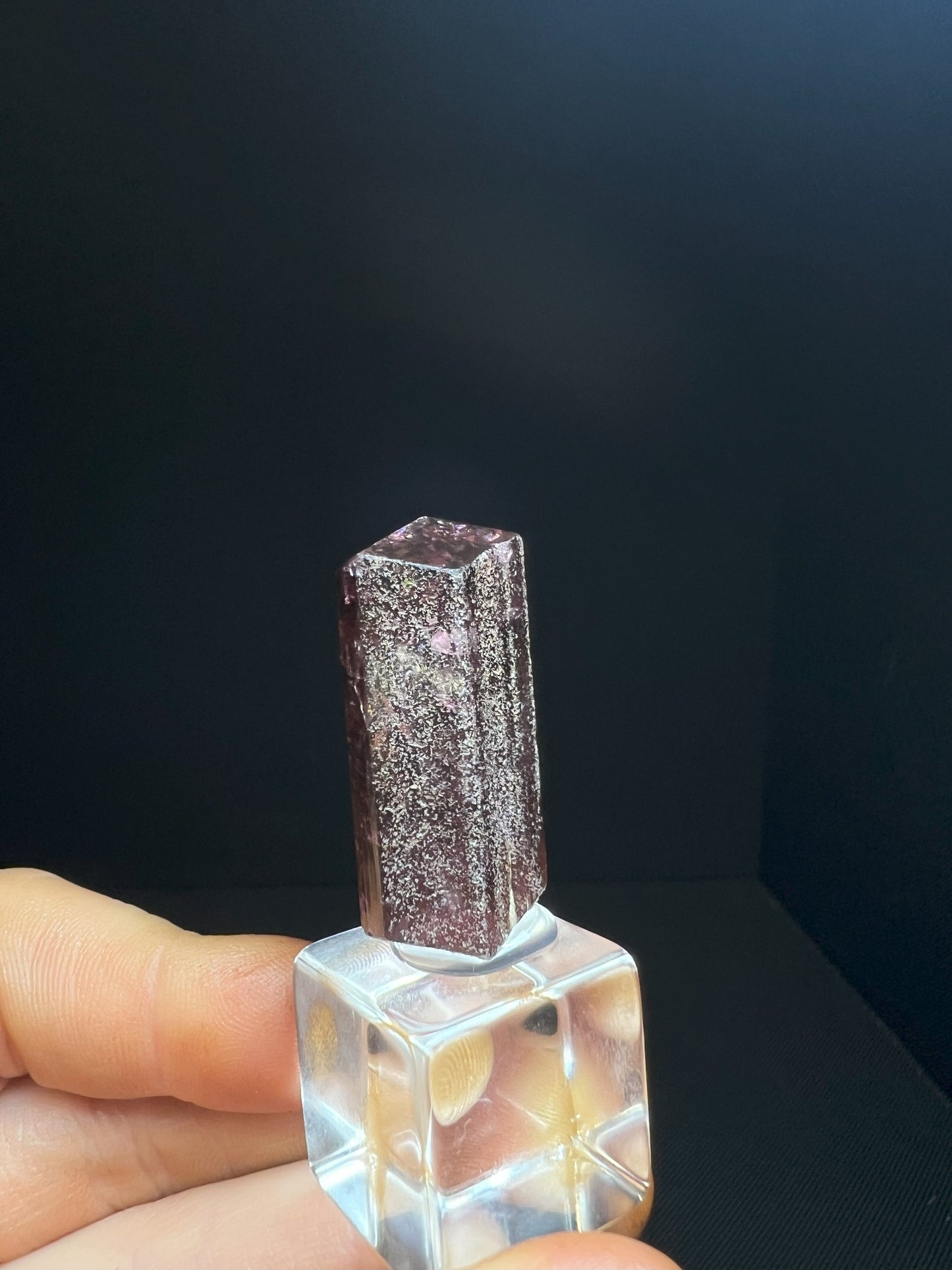Stunning Rare Liddicoatite Tourmaline- Collectors Piece, Home Décor