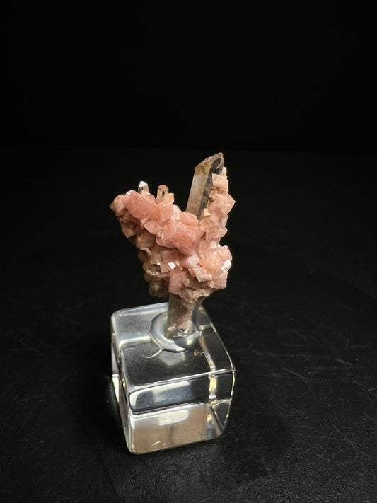 Aesthetic Rhodochrosite on Quartz From Pasta Bueno, Ancash, Peru (Stand Included) Collector Piece