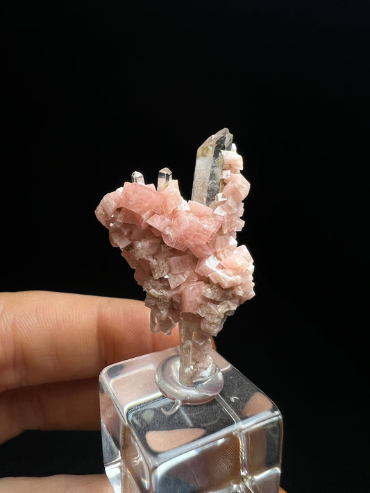 Aesthetic Rhodochrosite on Quartz From Pasta Bueno, Ancash, Peru (Stand Included) Collector Piece