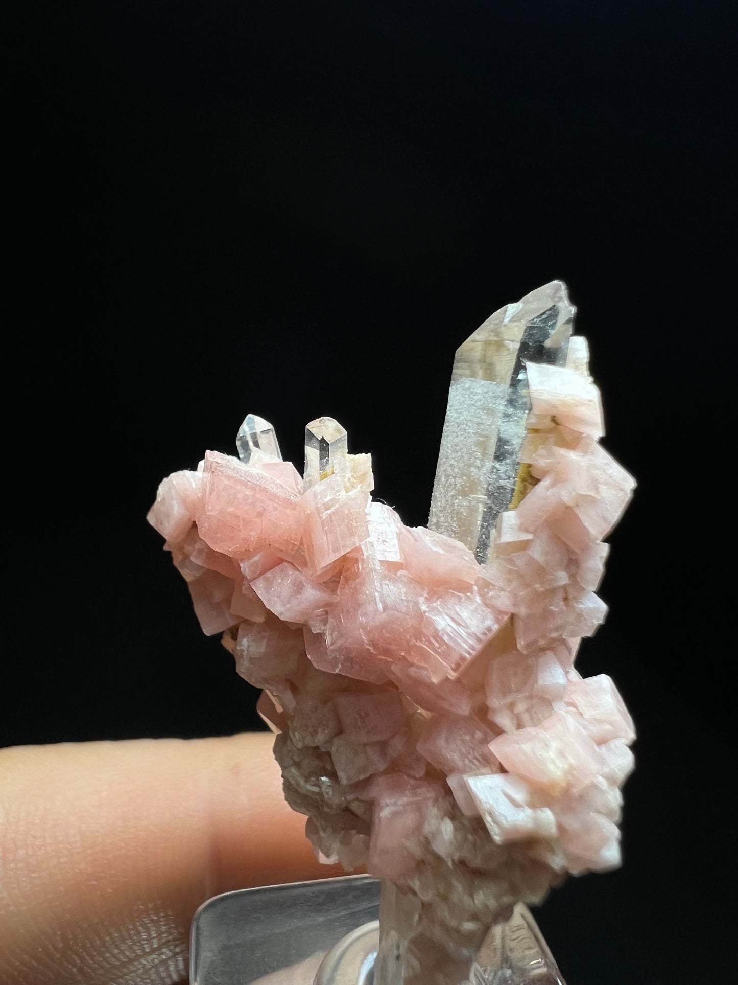 Aesthetic Rhodochrosite on Quartz From Pasta Bueno, Ancash, Peru (Stand Included) Collector Piece