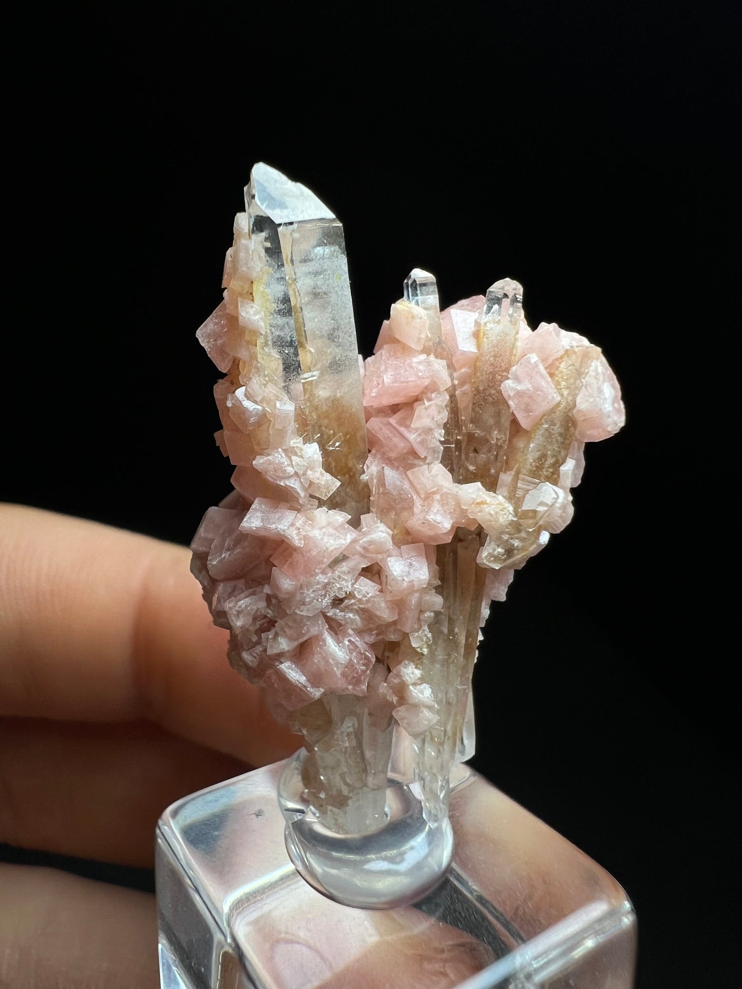 Aesthetic Rhodochrosite on Quartz From Pasta Bueno, Ancash, Peru (Stand Included) Collector Piece