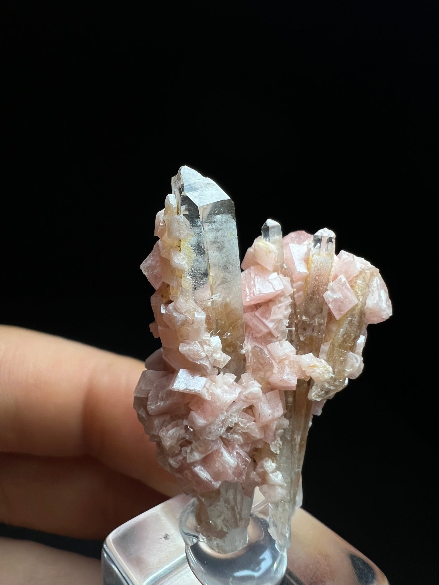Aesthetic Rhodochrosite on Quartz From Pasta Bueno, Ancash, Peru (Stand Included) Collector Piece