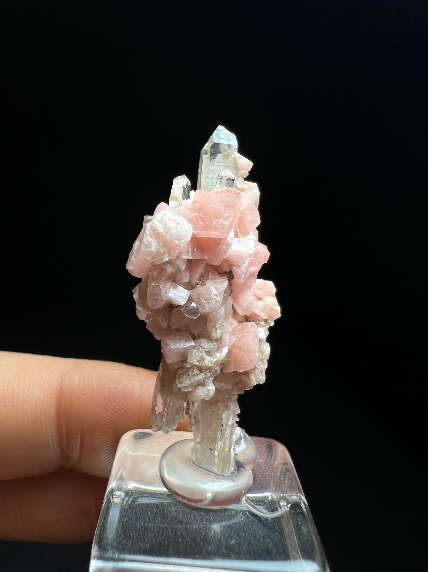 Aesthetic Rhodochrosite on Quartz From Pasta Bueno, Ancash, Peru (Stand Included) Collector Piece