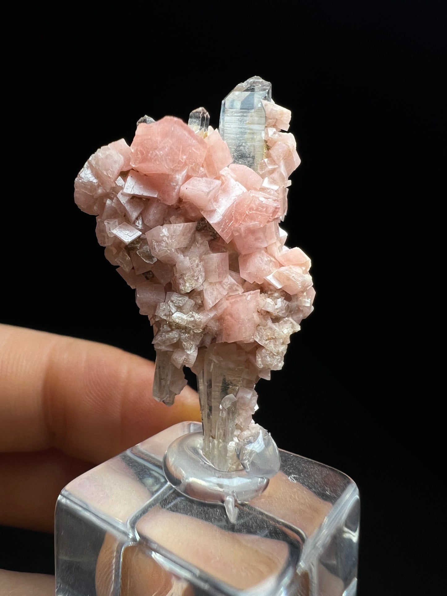 Aesthetic Rhodochrosite on Quartz From Pasta Bueno, Ancash, Peru (Stand Included) Collector Piece