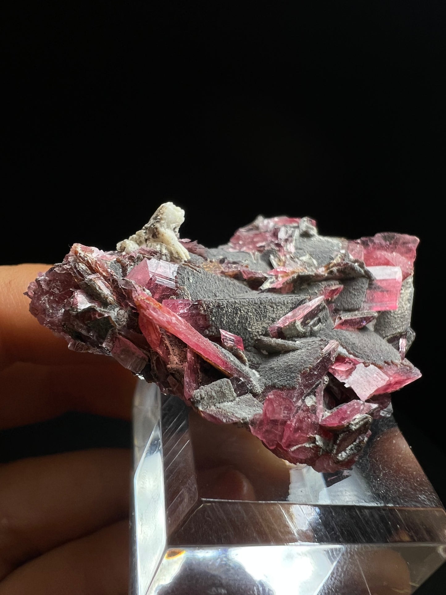 Phenomenal Rare Rhodonite Formation From Conselheiro Lafaiete Minas Gerais In Brazil (Stand Included)