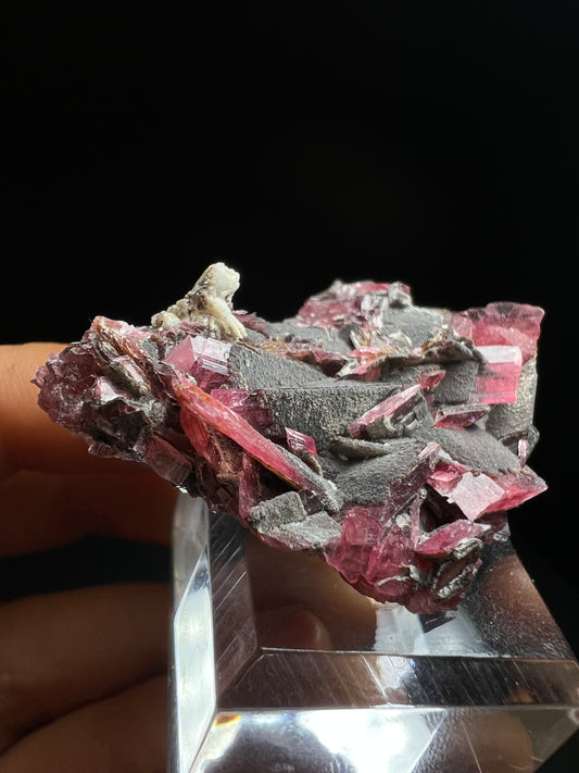 Phenomenal Rare Rhodonite Formation From Conselheiro Lafaiete Minas Gerais In Brazil (Stand Included)