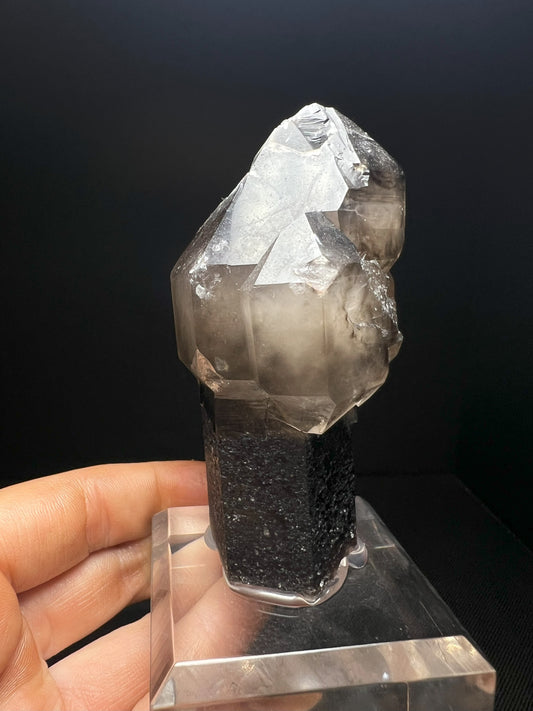 Fully Terminated Smoky Quartz Sceptre From Hallelujah Junction, Nevada (Stand Included) Collectors Piece