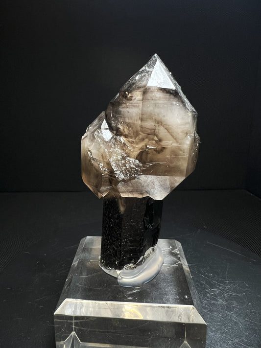 Fully Terminated Smoky Quartz Sceptre From Hallelujah Junction, Nevada (Stand Included) Collectors Piece