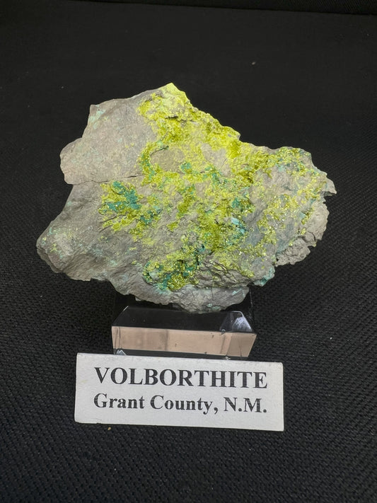 Volborthite From Grant County, N.M- Collectors Piece