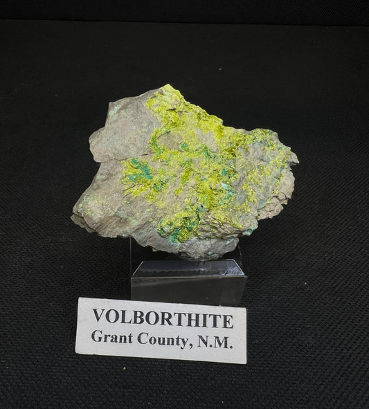 Volborthite From Grant County, N.M- Collectors Piece