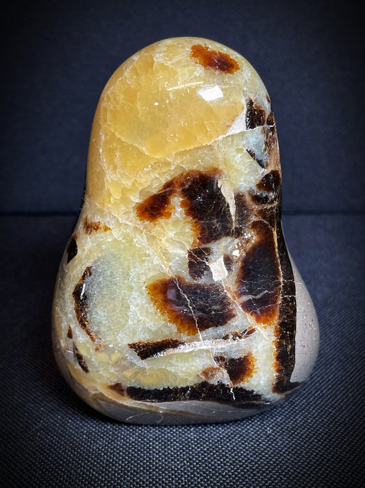 Polished Septarian nodule Freeform From Madagascar