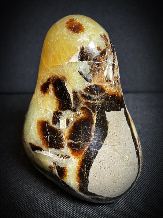 Polished Septarian nodule Freeform From Madagascar