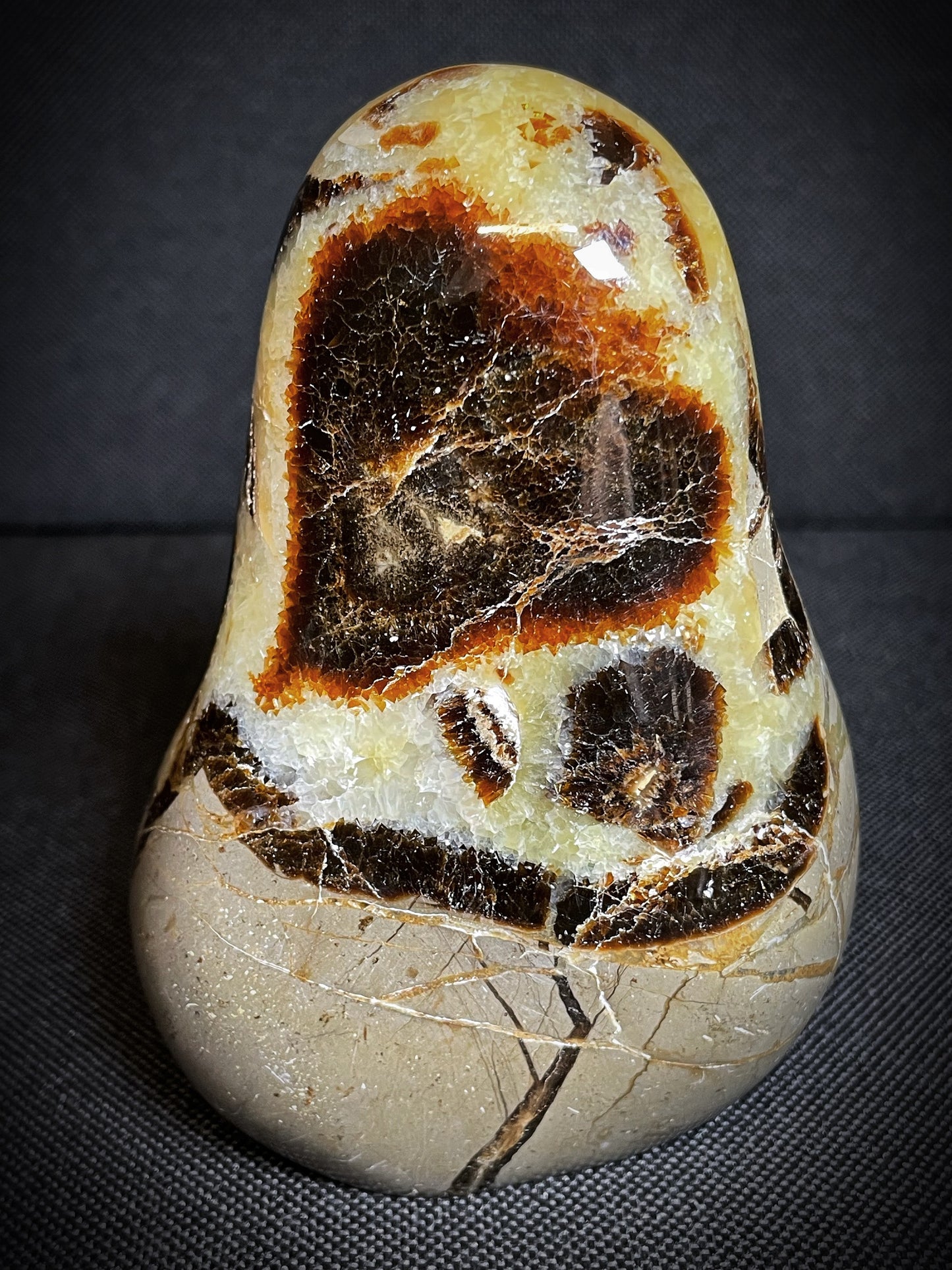Polished Septarian nodule Freeform From Madagascar