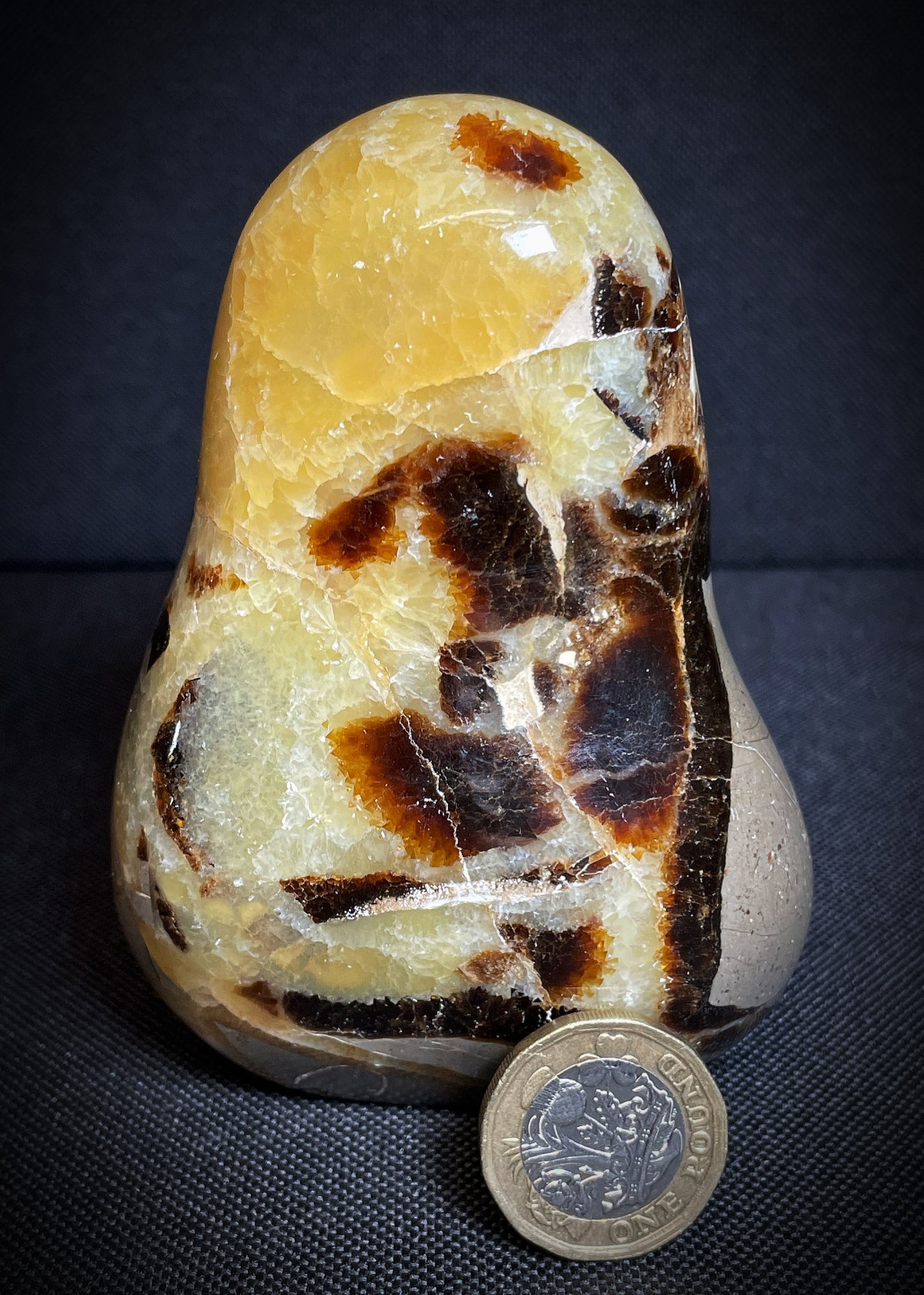 Polished Septarian nodule Freeform From Madagascar