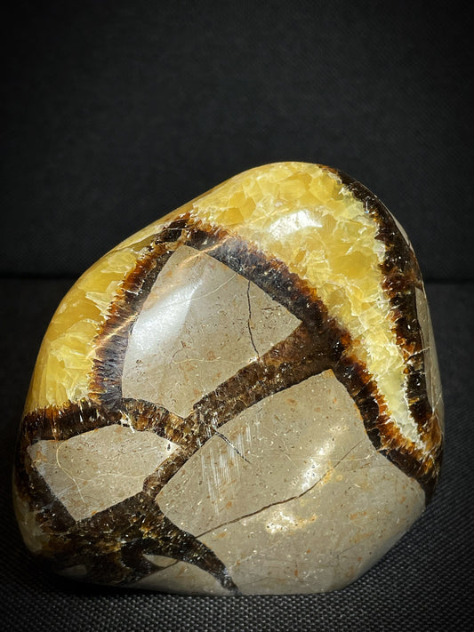 Polished Septarian nodule Freeform From Madagascar