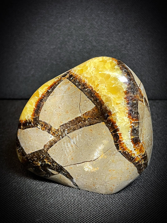 Polished Septarian nodule Freeform From Madagascar